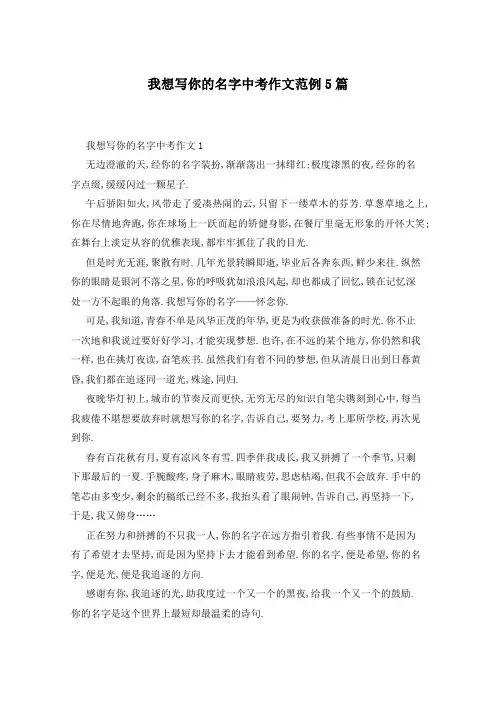 我想写你的名字中考作文范例5篇
