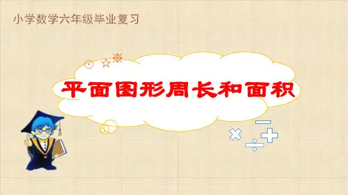 小学数学六年级毕业复习之《13平面图形周长与面积》