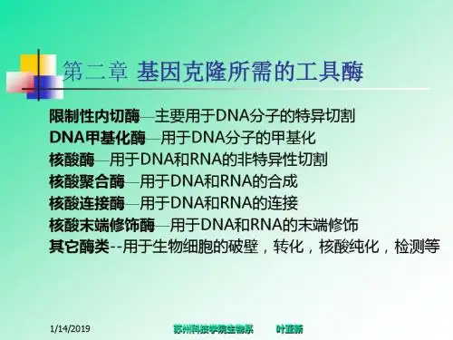 基因工程-第二章--基因克隆所需的工具酶