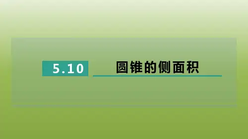 2024九年级数学下册第五章圆5.10圆锥的侧面积习题课件鲁教版五四制