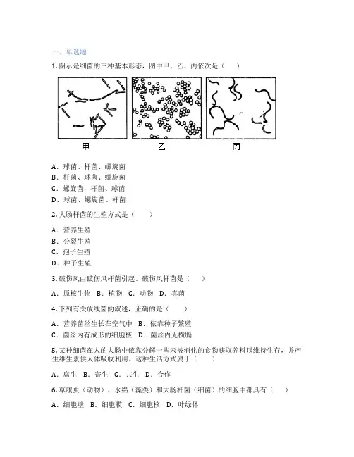 人教版生物 八年级上册 第二节 细菌 课后练习题