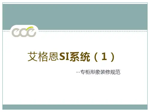 SI(1)-装修手册