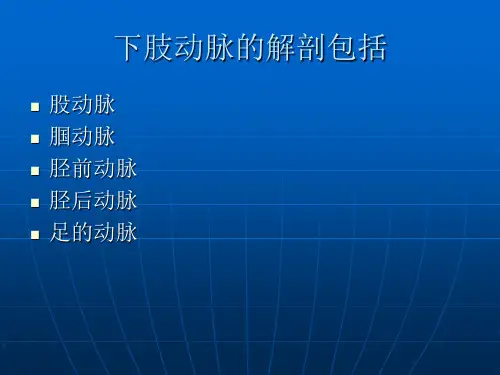 PPT医学课件解剖学下肢动脉讲义