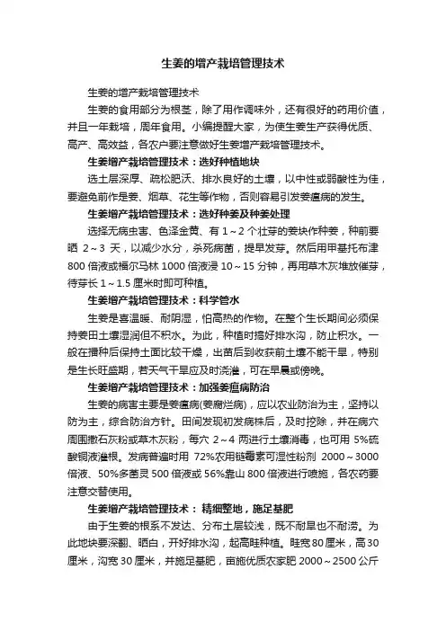 生姜的增产栽培管理技术