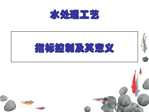 水处理工艺指标控制及其意义培训课件(ppt 45页)