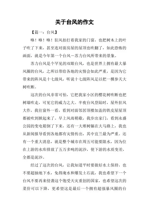 关于台风的作文