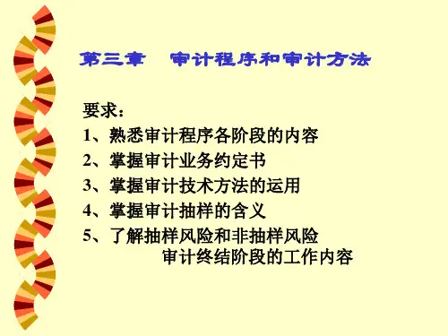 第三章 审计程序和审计方法