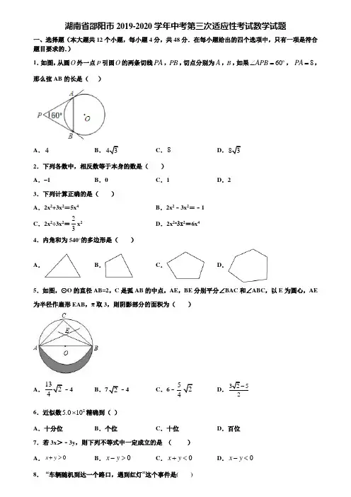 湖南省邵阳市2019-2020学年中考第三次适应性考试数学试题含解析