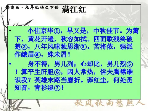 人教部编版九年级下册语文《满江红》PPT课件