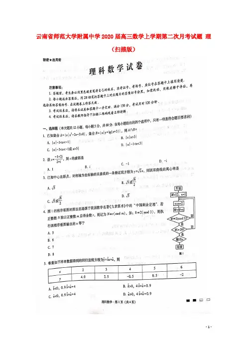 云南省师范大学附属中学2020届高三数学上学期第二次月考试题理(扫描版)