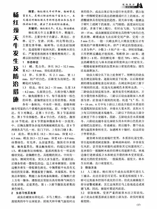 杨红颈天牛发生及防治措施