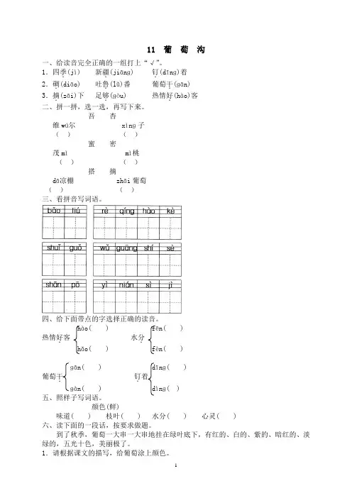 部编人教版二语上第三册  11 葡萄沟   课堂作业课时练习有答案