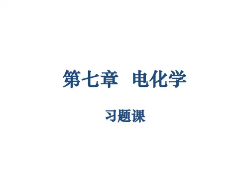 物理化学简明教程(印永嘉) 电化学习题课