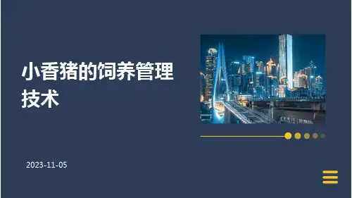 小香猪的饲养管理技术