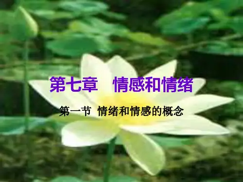 第七章情感和情绪.pptx
