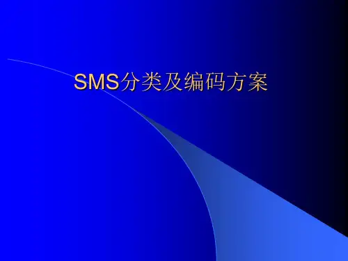 SMS分类及编码方案