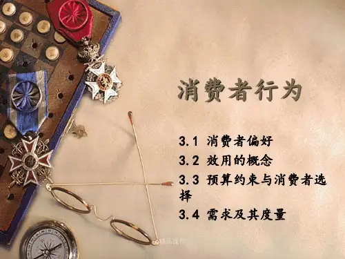 经济管理基础-3 消费者行为
