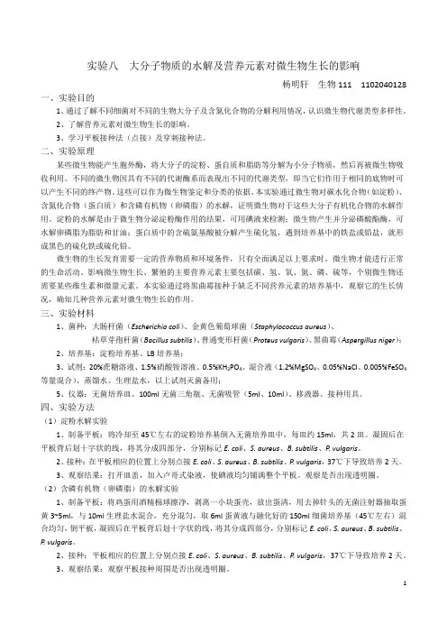 实验八  大分子物质的水解及营养元素对微生物生长的影响