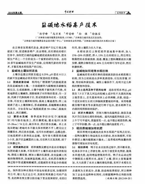 盐碱地水稻高产技术