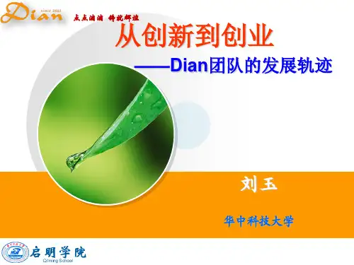 从创新到创业——Dian团队的发展轨迹(华中科技大学刘玉)