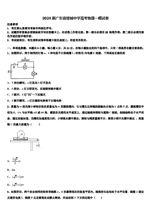 2024届广东省增城中学高考物理一模试卷含解析
