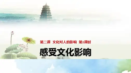 高中政治必修3优质课件5：2.1感受文化影响