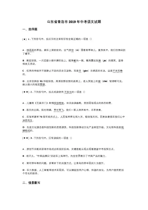 山东省青岛市2019年中考语文试题