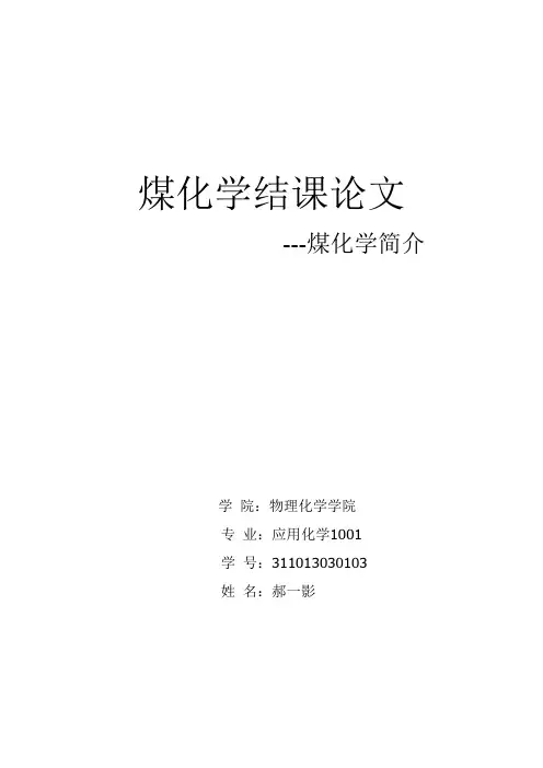 煤化学结课论文