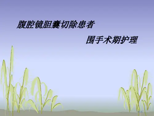 腹腔镜胆囊切除患者围手术期护理