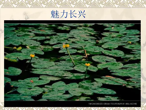 魅力长兴PPT课件