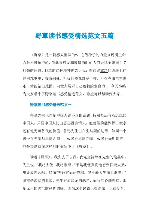 野草读书感受精选范文五篇