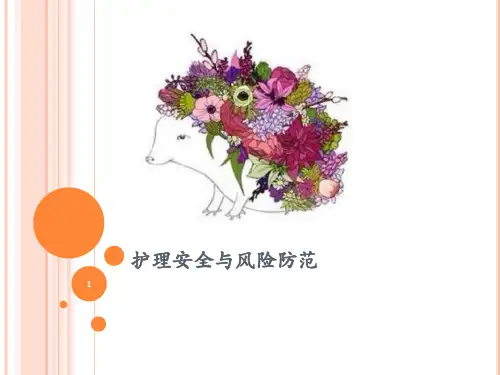 护理安全与风险防范培训PPT课件