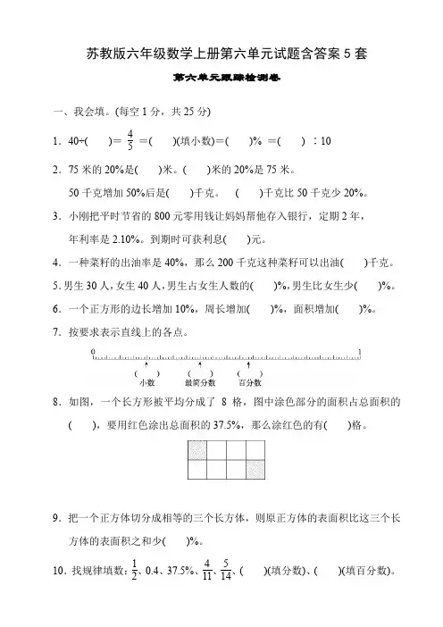 苏教版六年级数学上册第六单元试题含答案5套