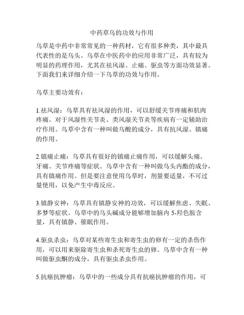 中药草乌的功效与作用