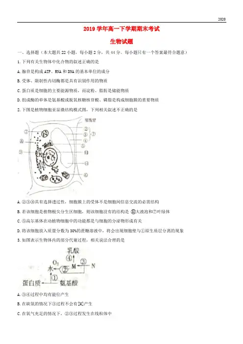 2020学年高一生物下学期期末考试试题 人教版 新版