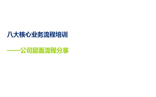 公司层面业务流程及内控管理