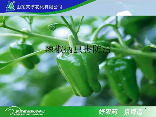 辣椒病虫害防治资料库
