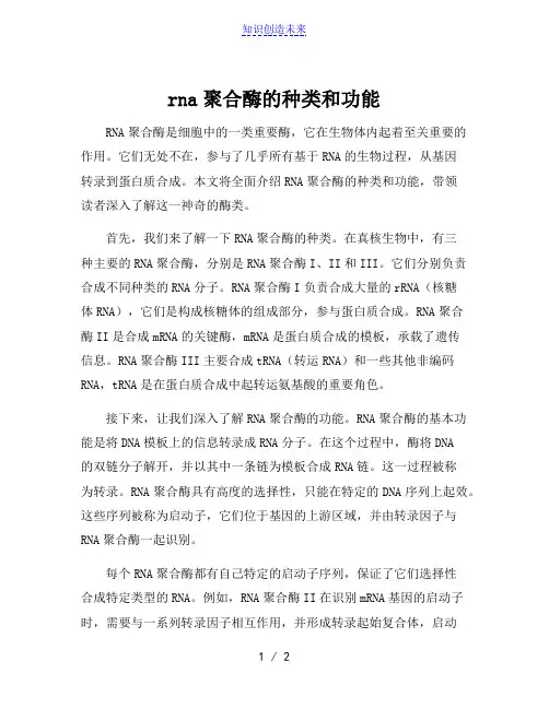 rna聚合酶的种类和功能
