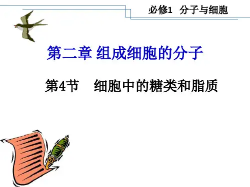 人教版高中生物必修1《2.4 细胞中的糖类和脂质》教学课件(38张PPT)