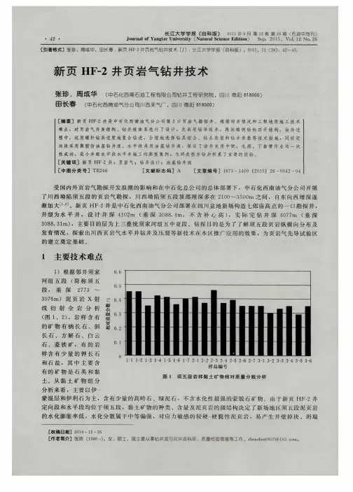 新页HF-2井页岩气钻井技术