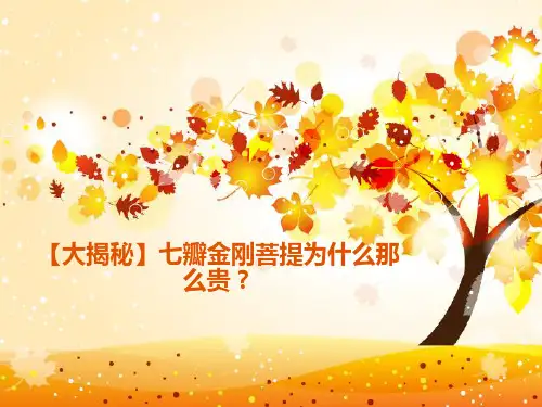 【大揭秘】七瓣金刚菩提为什么那么贵？