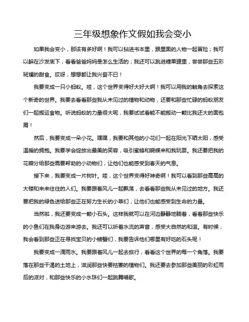 三年级想象作文假如我会变小