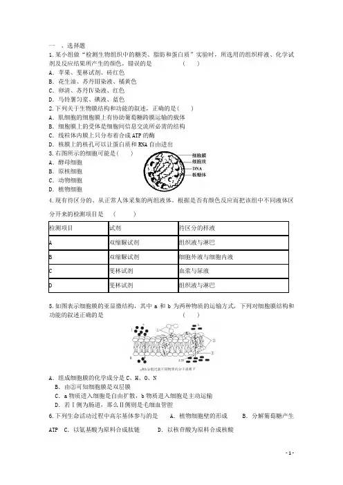 高一生物暑期训练17