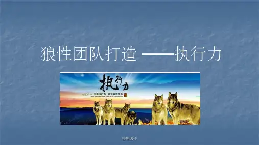 狼性团队执行力