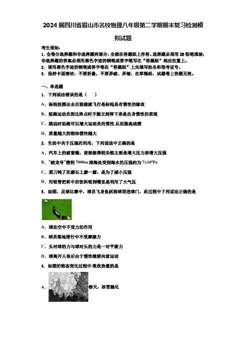 2024届四川省眉山市名校物理八年级第二学期期末复习检测模拟试题含解析