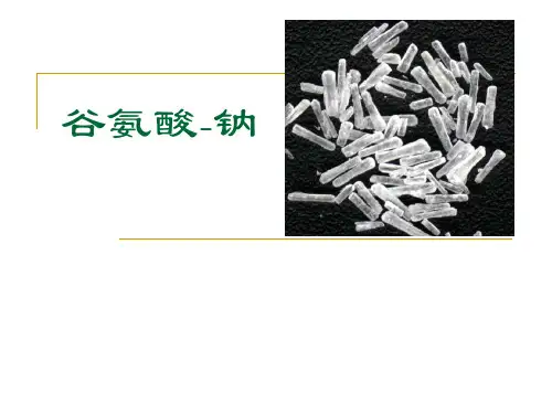 味精生产工艺流程培训课件