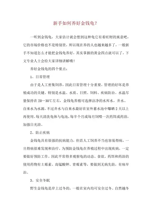 新手如何养好金钱龟？