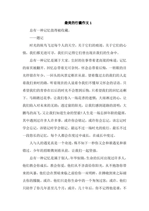 最美的行囊作文高考素材(优秀4篇)