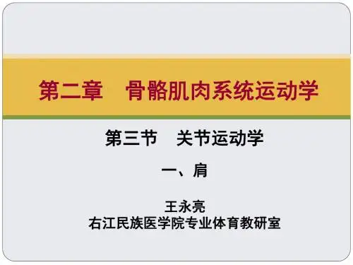 关节运动学肩关节ppt课件