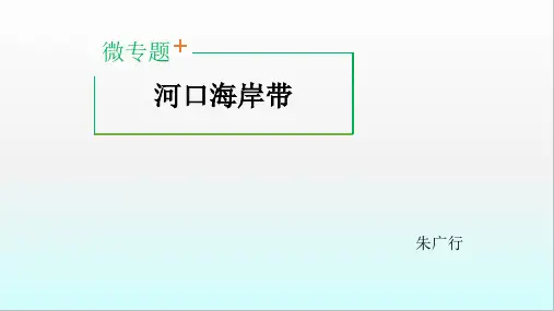 地理微专题河口海岸带(共16张PPT)